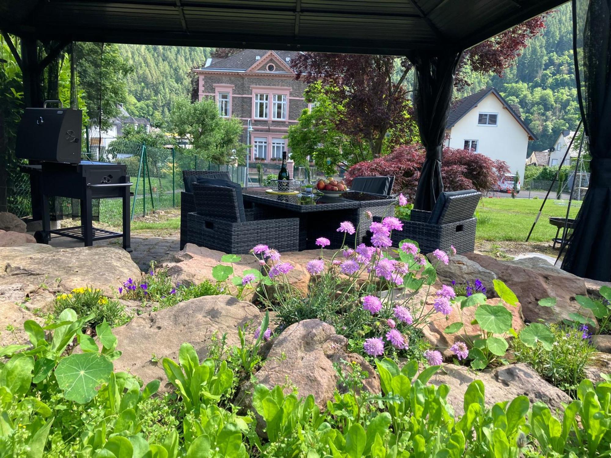Neu - Ferienwohnungen Im Winzergarten Traben-Trarbach Exteriör bild